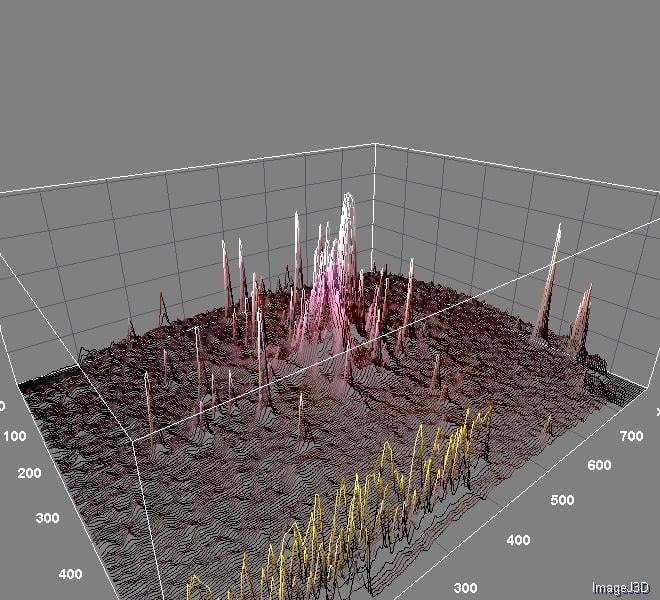 Surface_Plot_of_tarantu.jpg.57bbc5e9695c