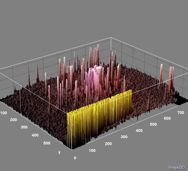 Surface_Plot_of_tarantu2.jpg.32e1fc5caba