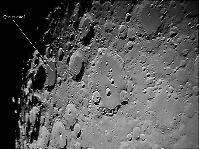 5776b51101e6c_clavius28-9012Alinea.jpg.e