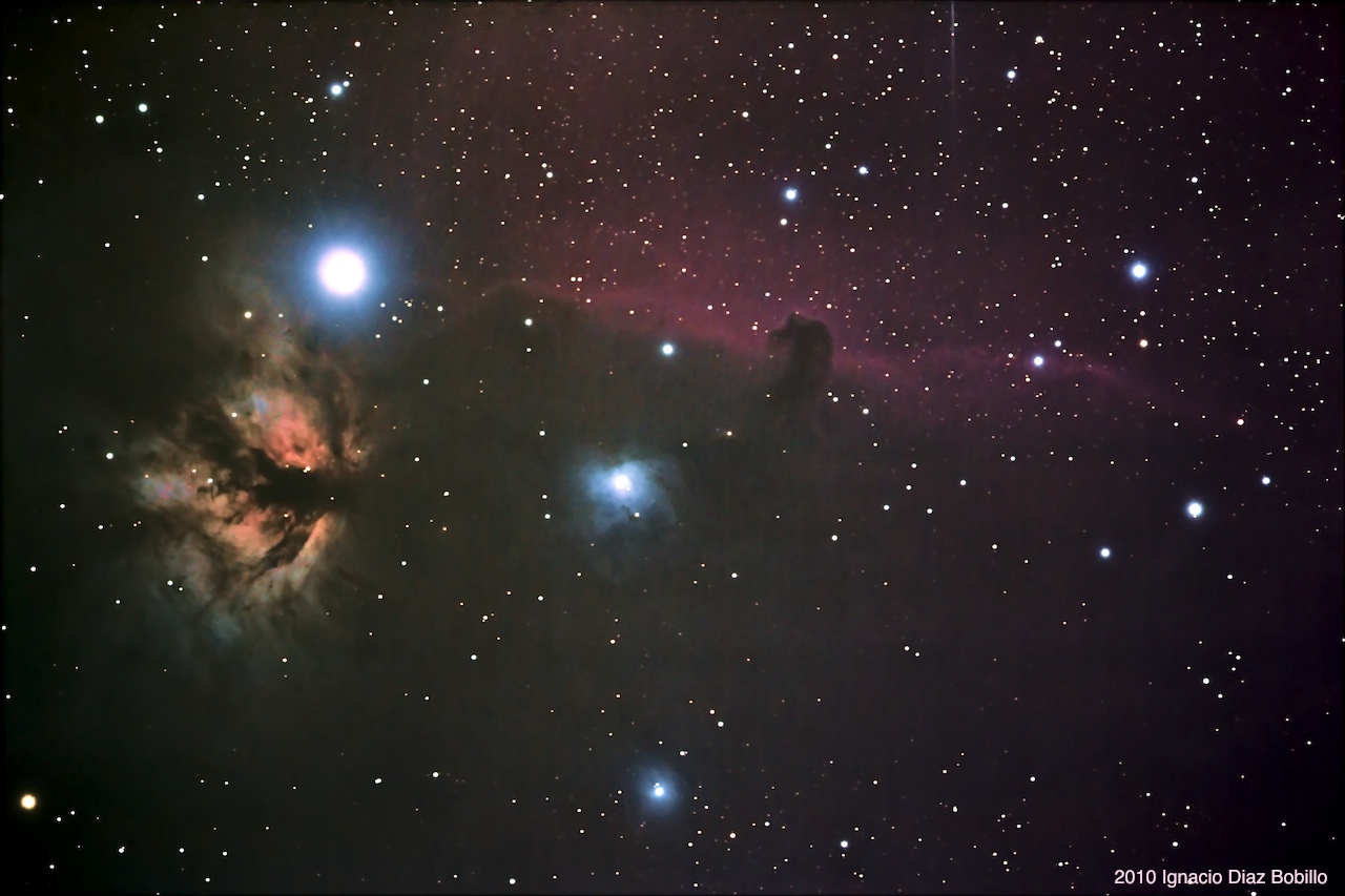 horsehead.jpg.ba2ae251fd2a12088365e81ed3