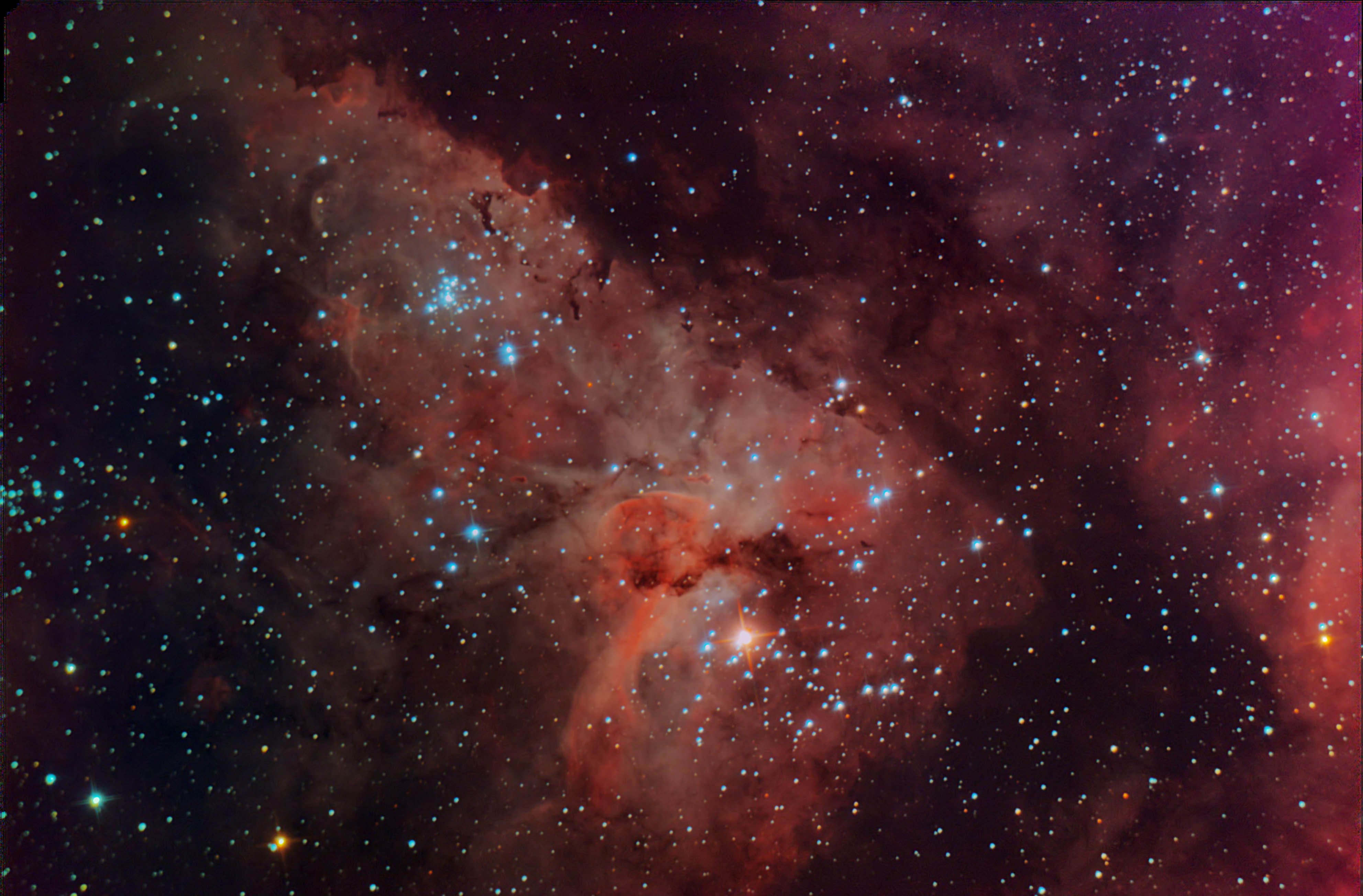 carina color.jpg