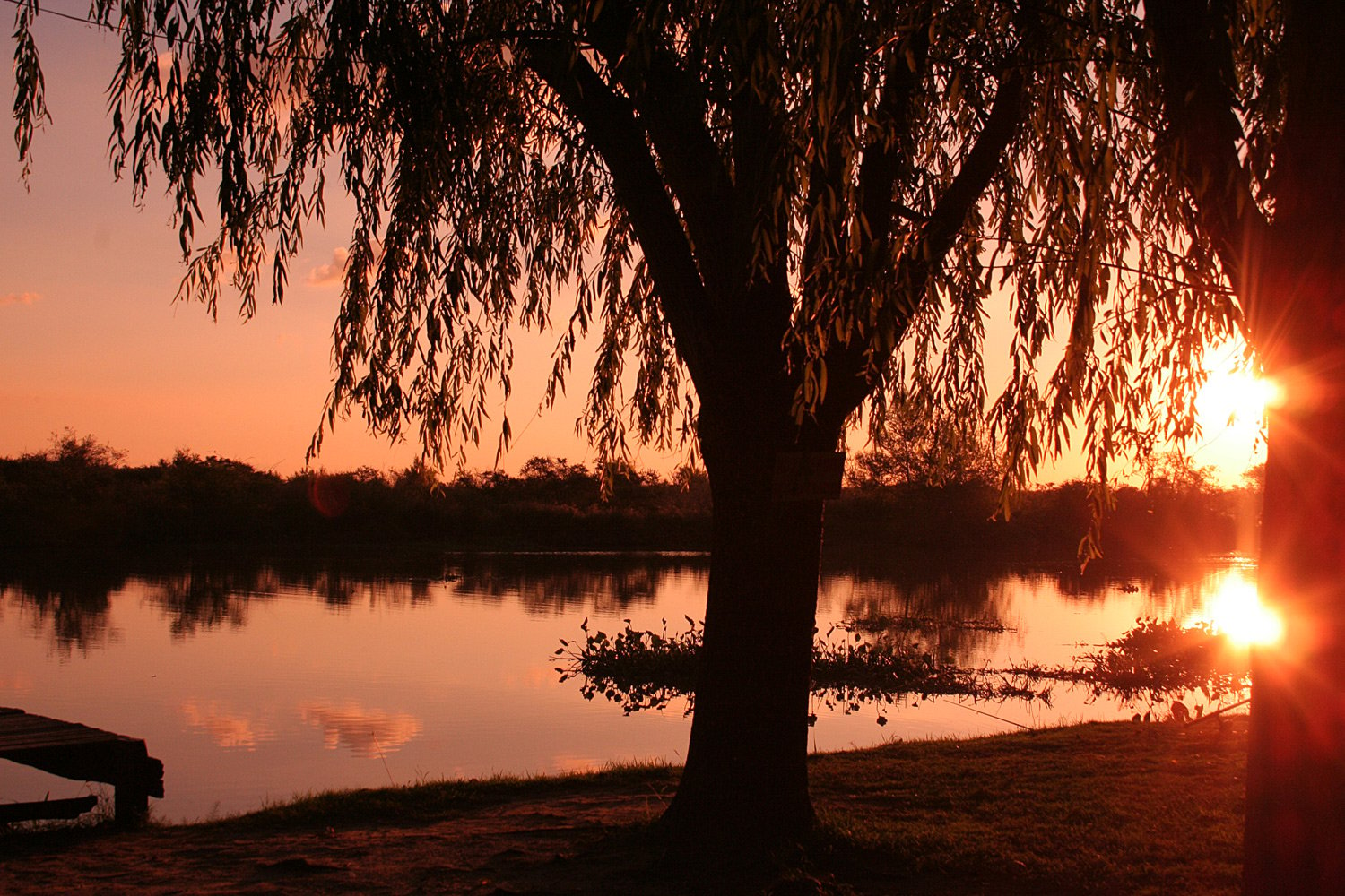 atardecer3.jpg.2517a3285f8713c13aa2d3e51