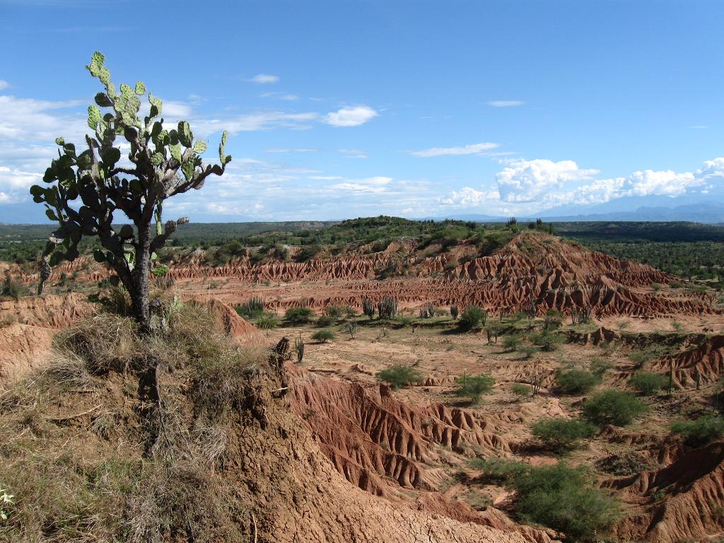 Desierto.JPG.d8c2760d0ebbca63c29f46d12d4