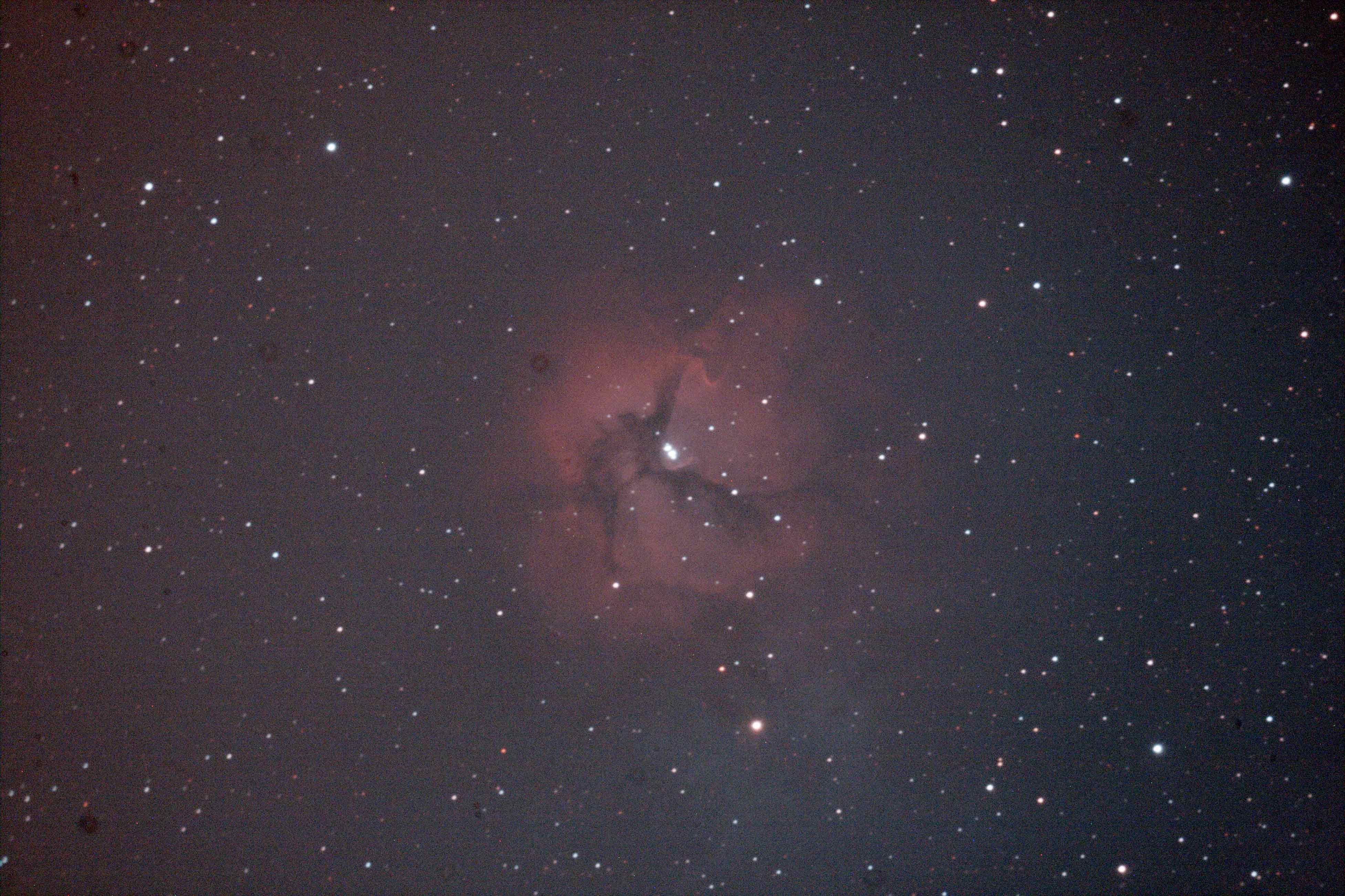 trifid-raw.jpg.77299b70460eb9ea1266af23c