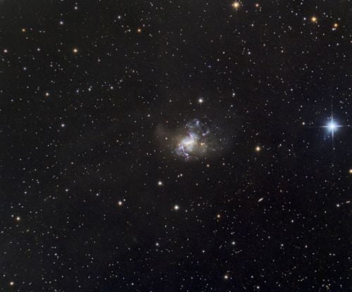 ngc1313.jpg